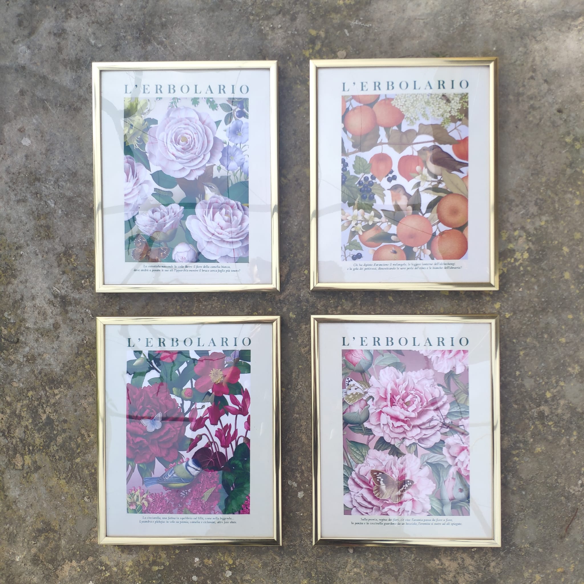 Marcos dorados metálicos botánicos - Imagen 2