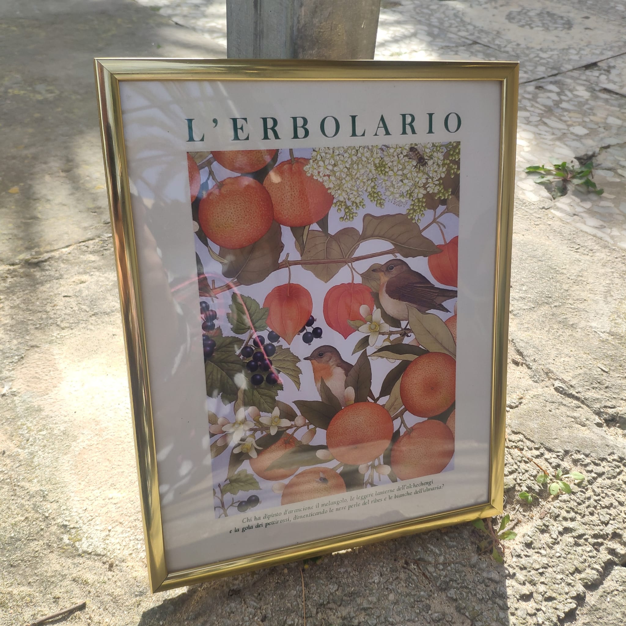 Marcos dorados metálicos botánicos - Imagen 3